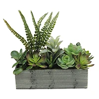 11.75" Mixed Succulent Plants in Rectangular Planter