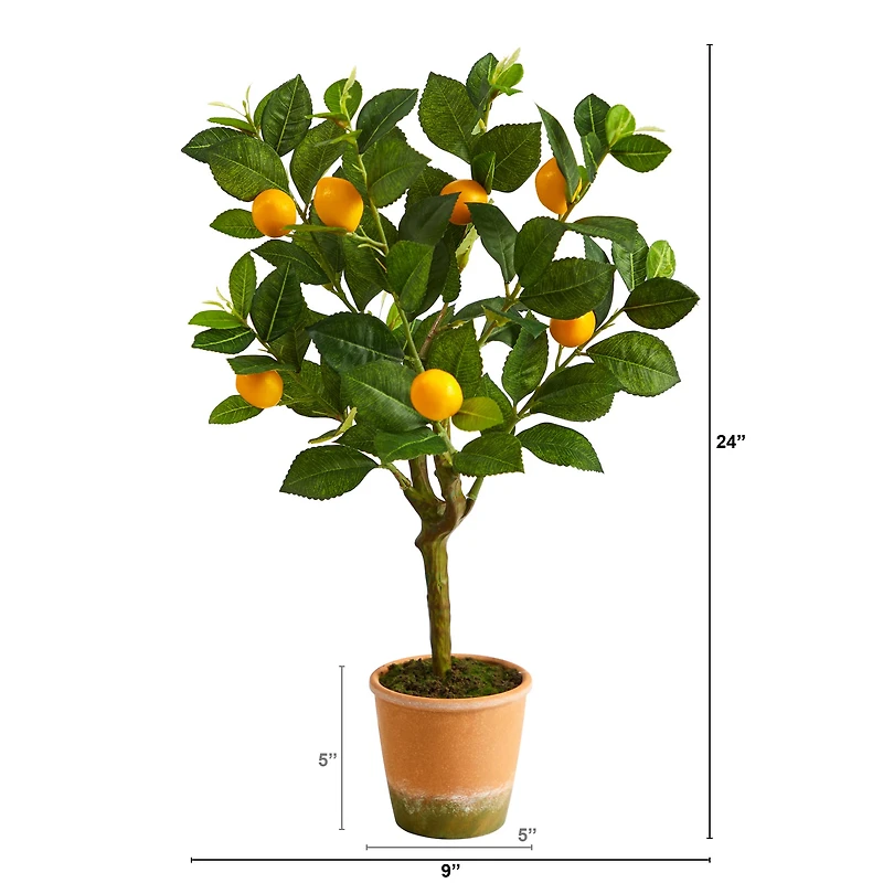 2ft. Lemon Tree in Brown Planter