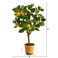 2ft. Lemon Tree in Brown Planter