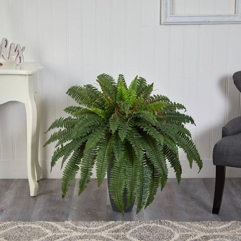 2.5ft. Boston Fern Plant in Gray Planter