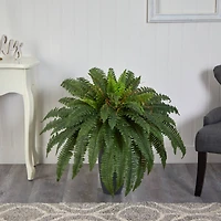 2.5ft. Boston Fern Plant in Gray Planter