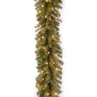 9ft. Pre-Lit Clear Lights Norwood Fir Garland