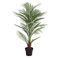 3.9ft. Potted Areca Palm Tree