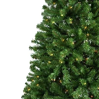 7ft. Pre-Lit Full Pendleton Spruce Artificial Christmas Tree, Clear Lights