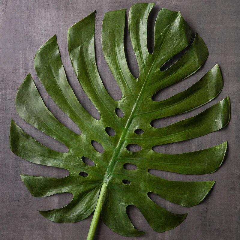 6 Pack: Green Monstera Leaf Stem by Ashland®