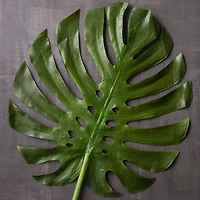 6 Pack: Green Monstera Leaf Stem by Ashland®