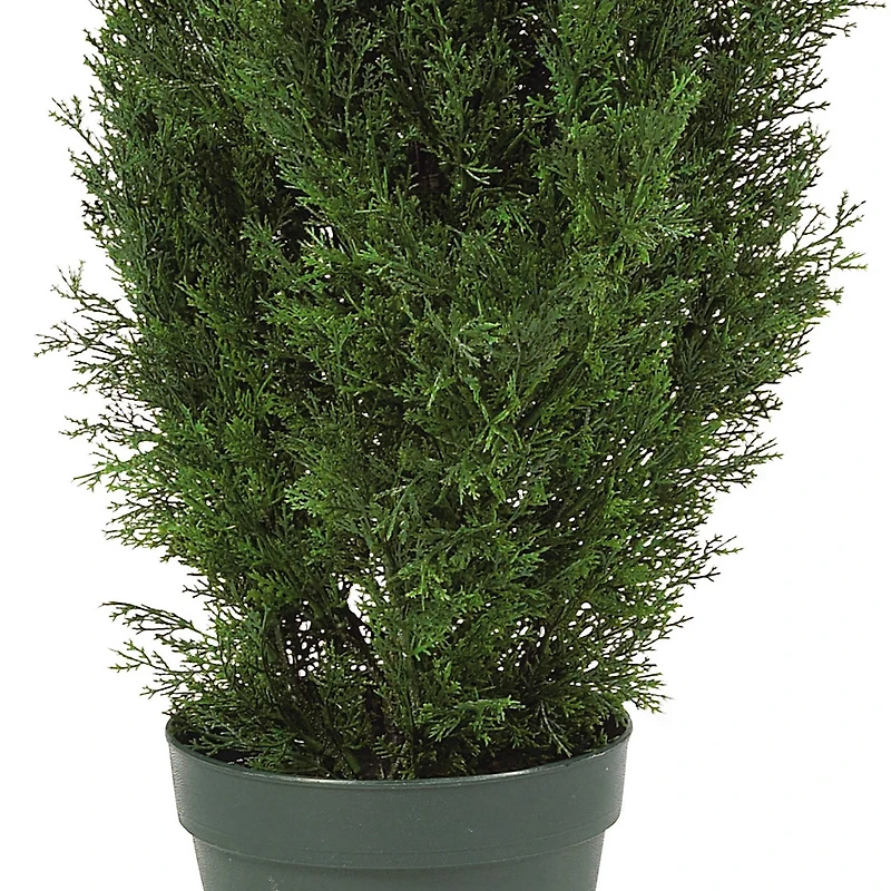 4ft. Potted Cedar Pine Tree