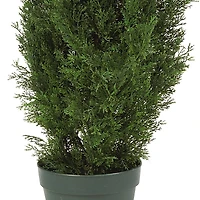 4ft. Potted Cedar Pine Tree