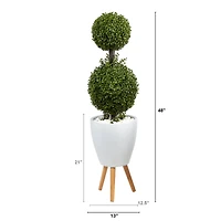 4ft. Double Boxwood Topiary Tree in White Planter with Stand