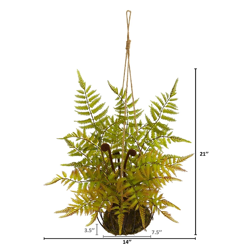 21" Fern in Metal Hanging Basket