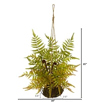 21" Fern in Metal Hanging Basket