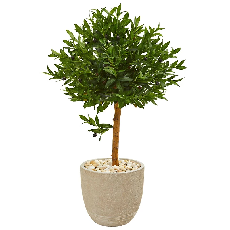 3.5ft. Olive Topiary Tree in Sand Stone Planter