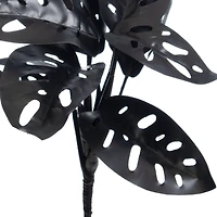 11.75" Black Broken Heart Monstera Bush by Ashland®