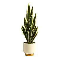 3ft. Snake Plant in Cream Planter with Gold Base