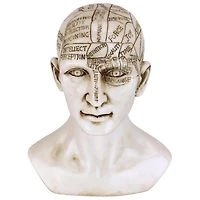 Design Toscano 6" Phrenology the Science of the Brain Victorian Replica Statue