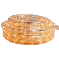 Incandescent Christmas Rope Lights - 18' - Clear