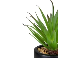 7" Green Sword Grass in Black Pot
