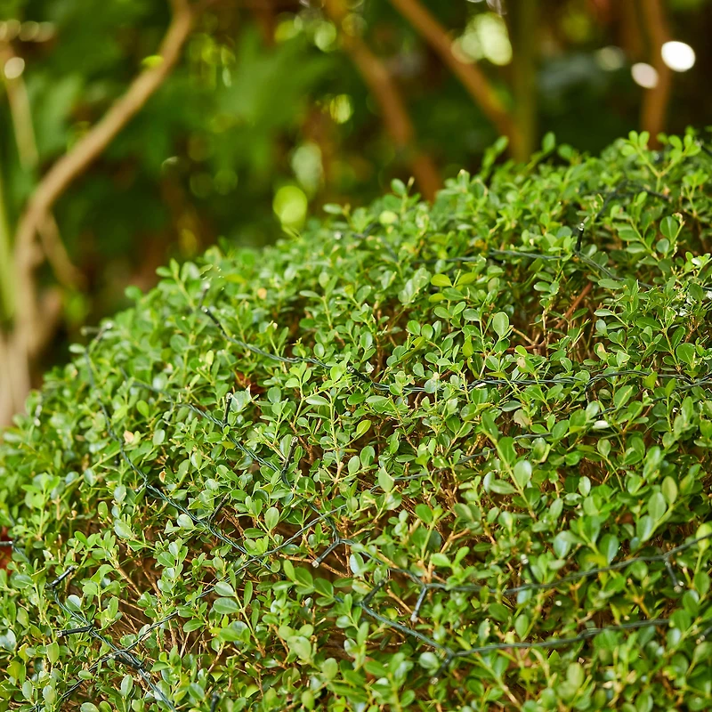 Glitzhome® 72ft. 200ct. LED Solar String Lights