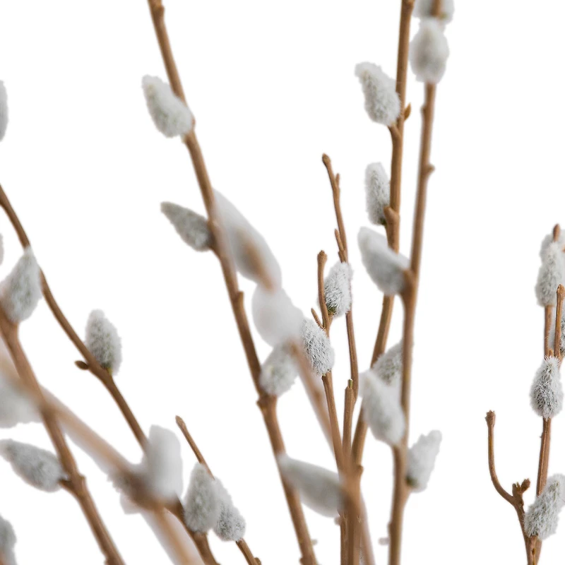 2ft. Pussy Willow Arrangement in Modern Metal Black Vase