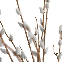 2ft. Pussy Willow Arrangement in Modern Metal Black Vase