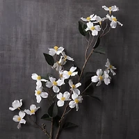 White Mini Dogwood Stem by Ashland®