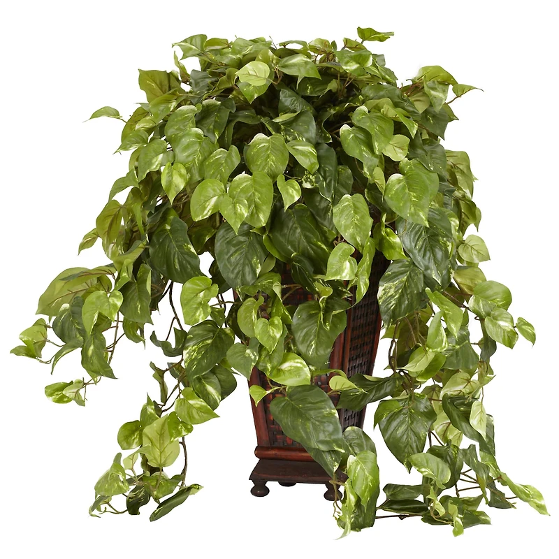 3ft. Vining Pothos with Bamboo Vase