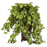 3ft. Vining Pothos with Bamboo Vase