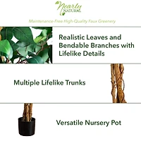 7ft. Potted Ficus Tree