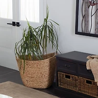 Large Brown Seagrass Contemporary Storage Basket