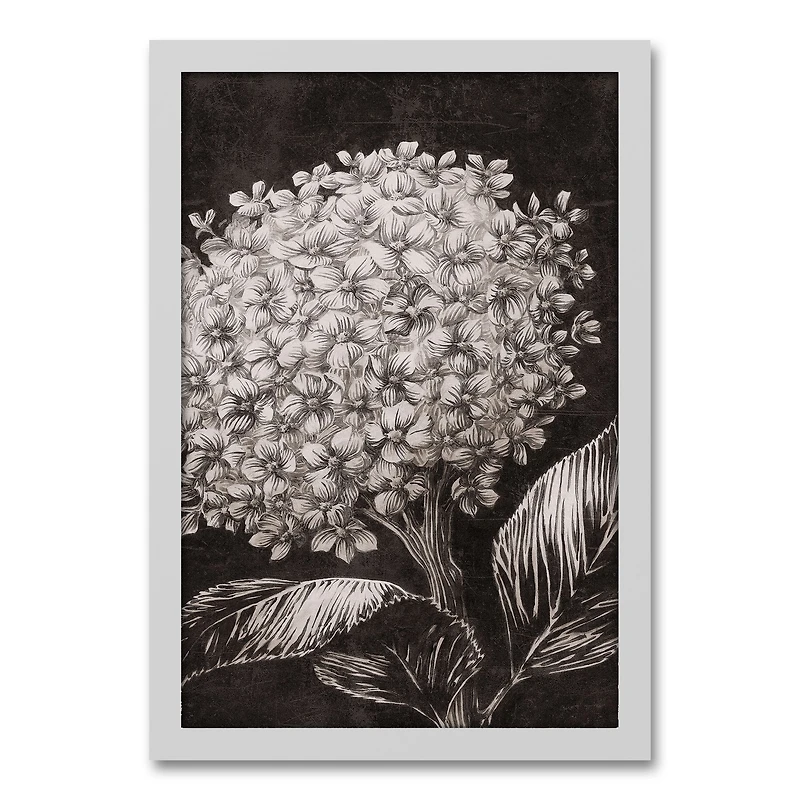 Sketched Hydrangeas White Framed Canvas