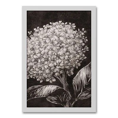 Sketched Hydrangeas White Framed Canvas