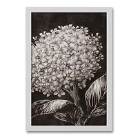 Sketched Hydrangeas White Framed Canvas