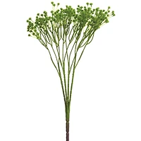 Green Baby's Breath Bush