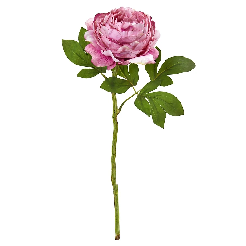 Pink Peony Flower Stems, 6ct.