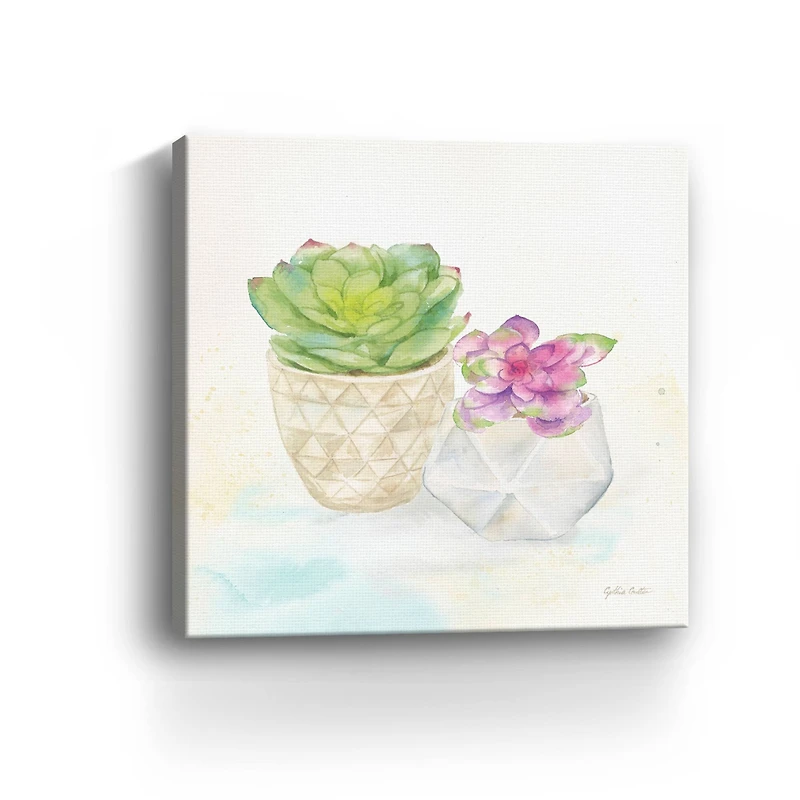 Sweet Succulent Pots III Canvas Giclee