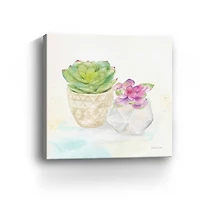 Sweet Succulent Pots III Canvas Giclee