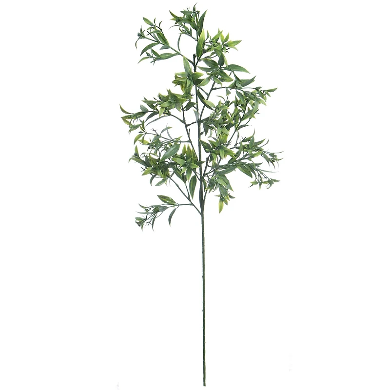 33" Green Ruscus Stem by Ashland®