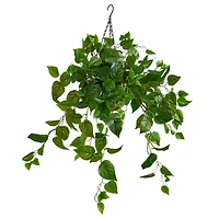2.5ft. Philodendron Artificial Plant in Hanging Basket