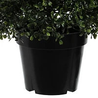 5ft. Potted Boxwood Cone Topiary Tree