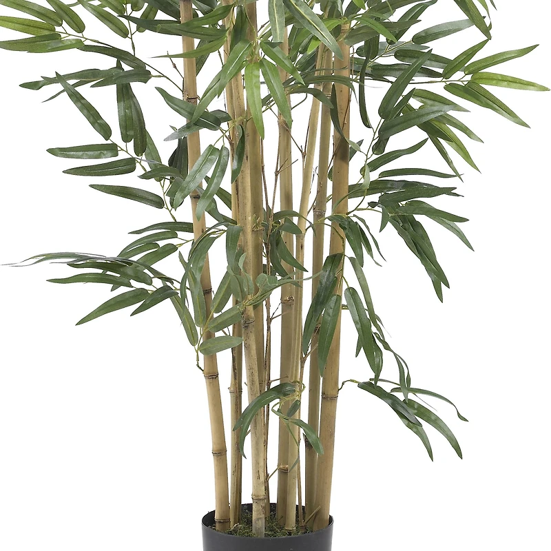 3ft. Potted Bambusa Bamboo Tree