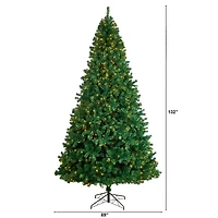 11ft. Pre-Lit Northern Tip Artificial Christmas Tree, Clear LED Lights