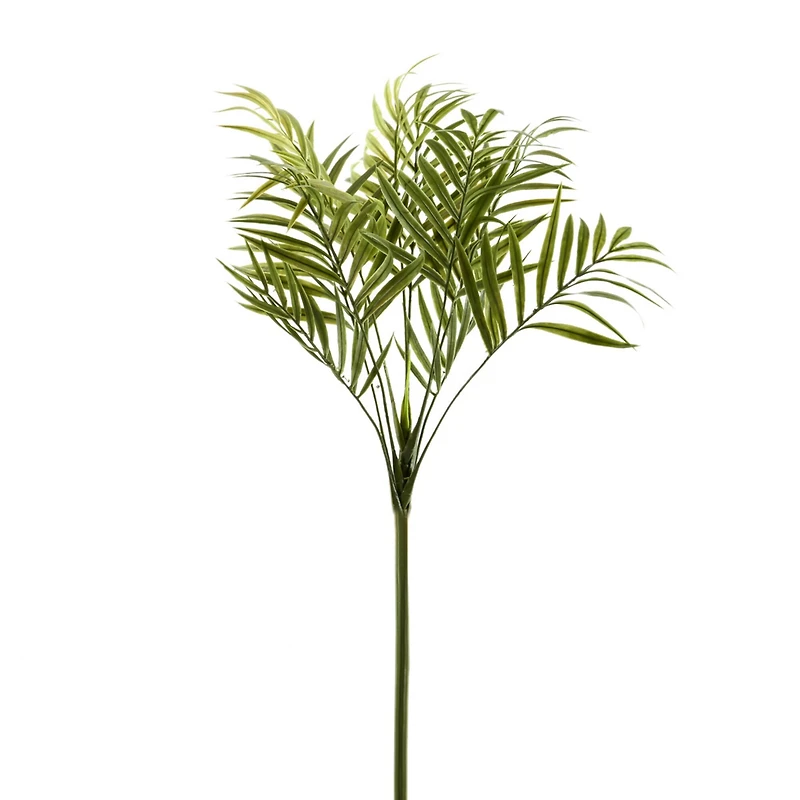 12 Pack: Green Palm Spray by Ashland®