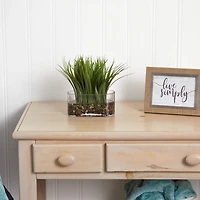 9'' Vanilla Grass Plant in Clear Oval Vase