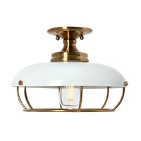Hello Honey® 13" Wide Caged Dome Metal Semi-Flush Mount Ceiling Light