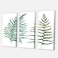Designart - Two Fern Leaves