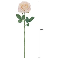 24" Rose Real Touch Stem by Ashland