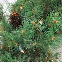 36" Pre-Lit Artificial Christmas Royal Oregon Pine Wreath