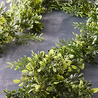 6ft. Green Boxwood Garland by Ashland®