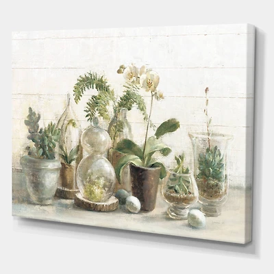 Designart - Greenhouse Orchids