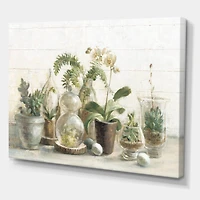 Designart - Greenhouse Orchids